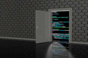 backdoor در پشتی